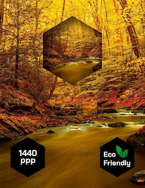 Cuadro decorativo Pixelarte Naturaleza Cascada Rio Agua Otoño