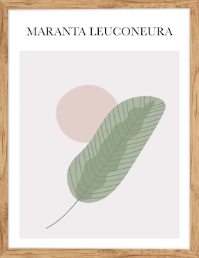 Cuadro decorativo Ilustraciones abstractas 002 de Fábrica Galería