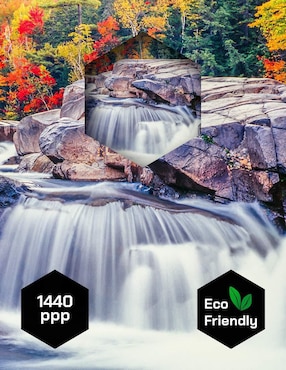 Cuadro decorativo Pixelarte Cascada Otoño Rioswift