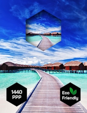 Cuadro decorativo Pixelarte Playa Villa Sobre Agua