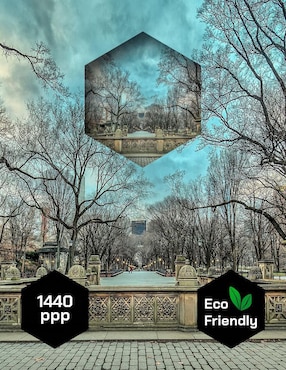 Cuadro decorativo Pixelarte Nueva York Central Park Frio