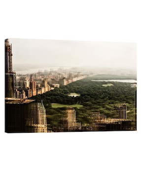 Cuadro decorativo Pixelarte Nueva York Central Park Vintage