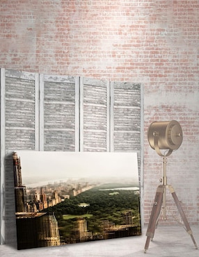 Cuadro decorativo Pixelarte Nueva York Central Park Vintage