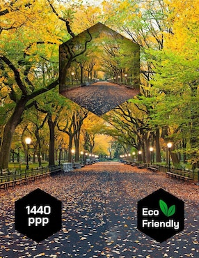 Cuadro decorativo Pixelarte Nueva York Central Park En Otoño