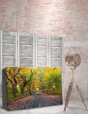 Cuadro decorativo Pixelarte Nueva York Central Park En Otoño