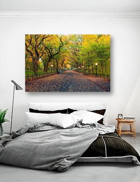 Cuadro decorativo Pixelarte Nueva York Central Park En Otoño