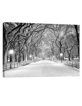 Cuadro decorativo Pixelarte Nueva York Nieve Central Park
