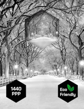 Cuadro decorativo Pixelarte Nueva York Nieve Central Park