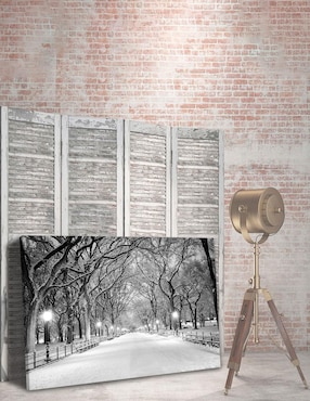 Cuadro decorativo Pixelarte Nueva York Nieve Central Park