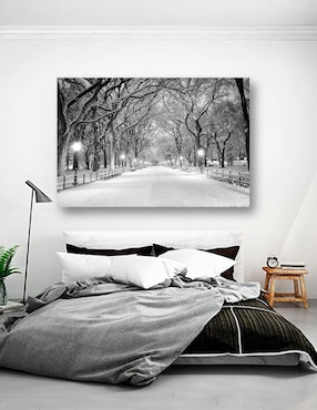 Cuadro decorativo Pixelarte Nueva York Nieve Central Park
