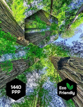 Cuadro decorativo Pixelarte Naturaleza Bosque Arboles