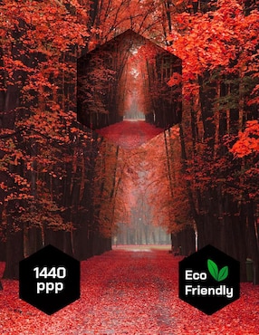 Cuadro Decorativo Pixelarte Naturaleza Bosque de Otoño
