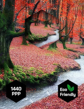 Cuadro decorativo Pixelarte Bosque Corriente
