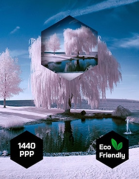 Cuadro decorativo Pixelarte Naturaleza Bosque Hielo con Lago