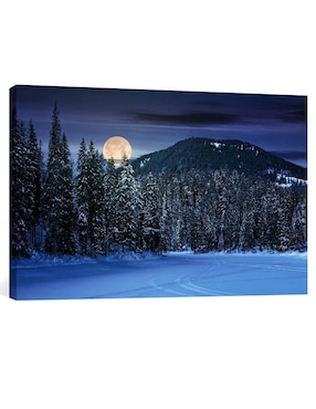 Fotografía Pixelarte Bosque Noche Nieve