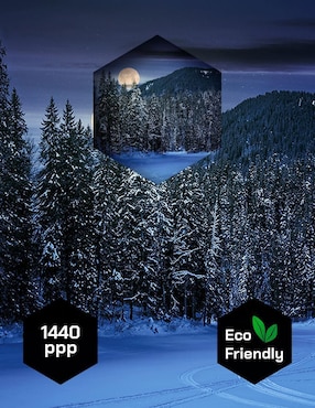 Fotografía Pixelarte Bosque Noche Nieve