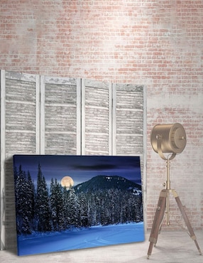 Fotografía Pixelarte Bosque Noche Nieve