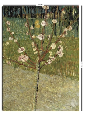 Cuadro decorativo Cuadros Jr Almendro en flor