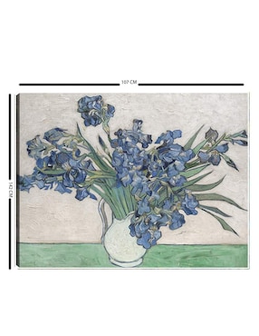 Cuadro decorativo Cuadros Jr Iris (1890)