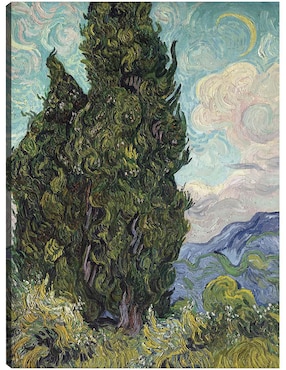 Cuadro decorativo Cuadros Jr Cipreses (1889)