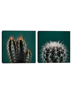 Pintura Cactus III técnica mixta Cuadros Jr