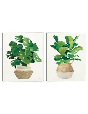 Pintura Palma Tejida técnica mixta Cuadros Jr