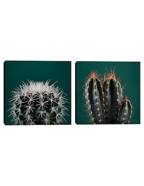 Pintura Cactus III técnica mixta Cuadros Jr