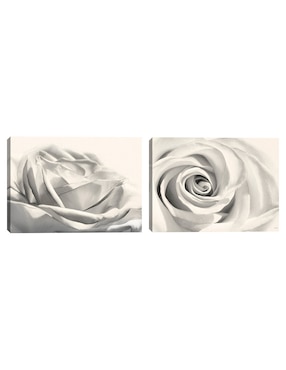Pintura Rosa III técnica mixta Cuadros Jr