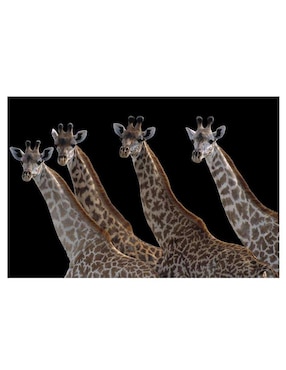 Pintura Jirafas en una fila negra técnica mixta Cuadros Jr Animales