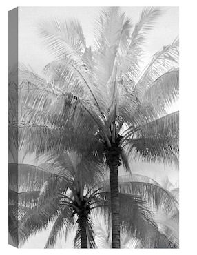 Pintura Foco de Kerala técnica mixta Cuadros Jr Paisaje