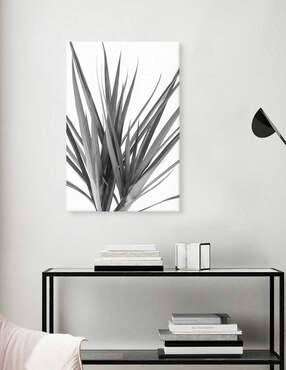 Pintura Dracaena negra técnica mixta Cuadros Jr Fotografía