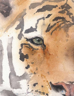Pintura Tigre técnica mixta Cuadros Jr Animales