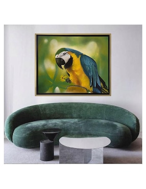 Pintura Perico y su flor técnica mixta Lune Art Gallery AnimalArt