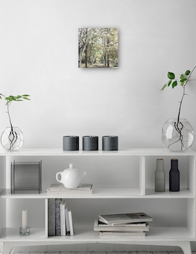 Cuadro decorativo Cordillera de primavera técnica mixta Cuadros Jr Bosques