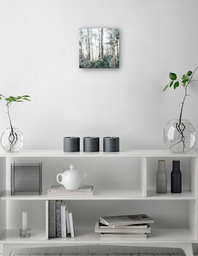 Cuadro decorativo Resplandor técnica mixta Cuadros Jr Bosques