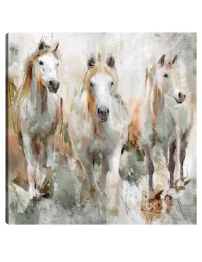 Cuadro decorativo Trifecta técnica mixta Cuadros Jr Animales Domésticos