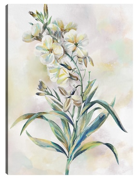 Cuadro decorativo Susurros Botánicos III técnica mixta Cuadros Jr Floración