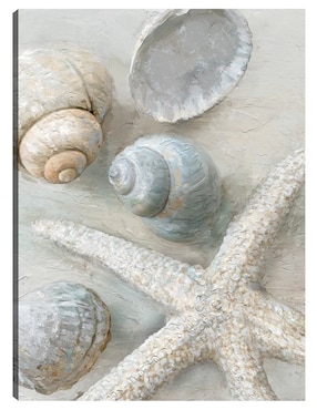 Cuadro decorativo Tesoros técnica mixta Cuadros Jr Animales Marinos