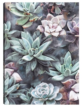 Cuadro decorativo Suculentas En Gris técnica mixta Cuadros Jr Floral