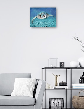 Cuadro decorativo Tortuga Marina técnica mixta Cuadros Jr Animales Marinos