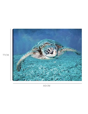 Cuadro decorativo Tortuga Marina técnica mixta Cuadros Jr Animales Marinos