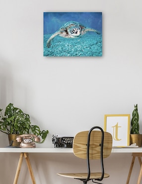 Cuadro decorativo Tortuga Marina técnica mixta Cuadros Jr Animales Marinos
