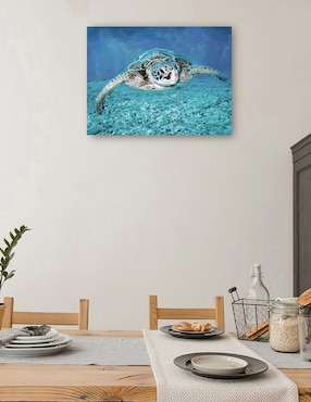 Cuadro decorativo Tortuga Marina técnica mixta Cuadros Jr Animales Marinos