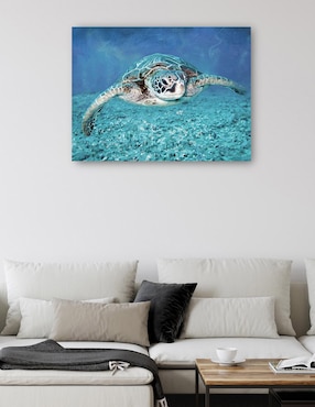 Cuadro decorativo Tortuga Marina técnica mixta Cuadros Jr Animales Marinos