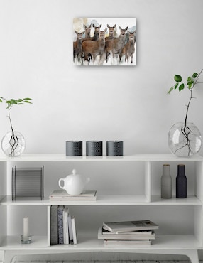 Cuadro decorativo Reunión técnica mixta Cuadros Jr Vida Silvestre