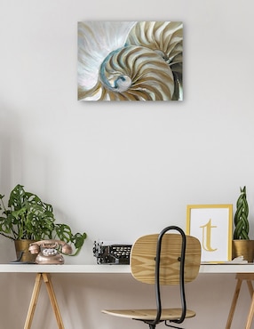 Cuadro decorativo Nautilo dorado técnica mixta Cuadros Jr Playas
