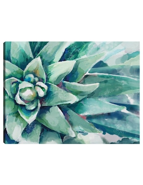 Cuadro decorativo Flor Suculenta Acuarela técnica mixta Cuadros Jr Floración