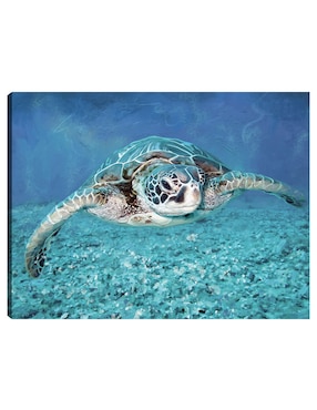 Cuadro decorativo Tortuga marina técnica mixta Cuadros Jr Animales Marinos
