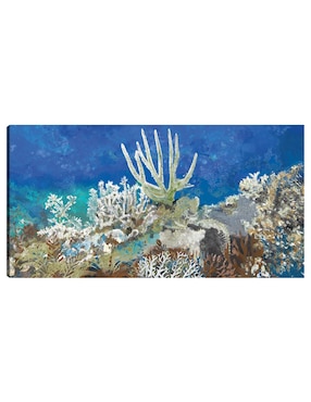 Cuadro Decorativo Arrecife De Coral Impresión En Lienzo Técnica Mixta Cuadros Jr Animales Marinos