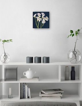 Cuadro decorativo técnica mixta Cuadros Jr Primavera